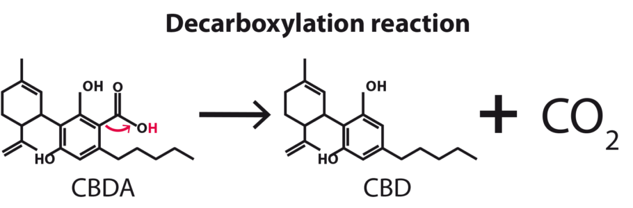 decarboxylation processus