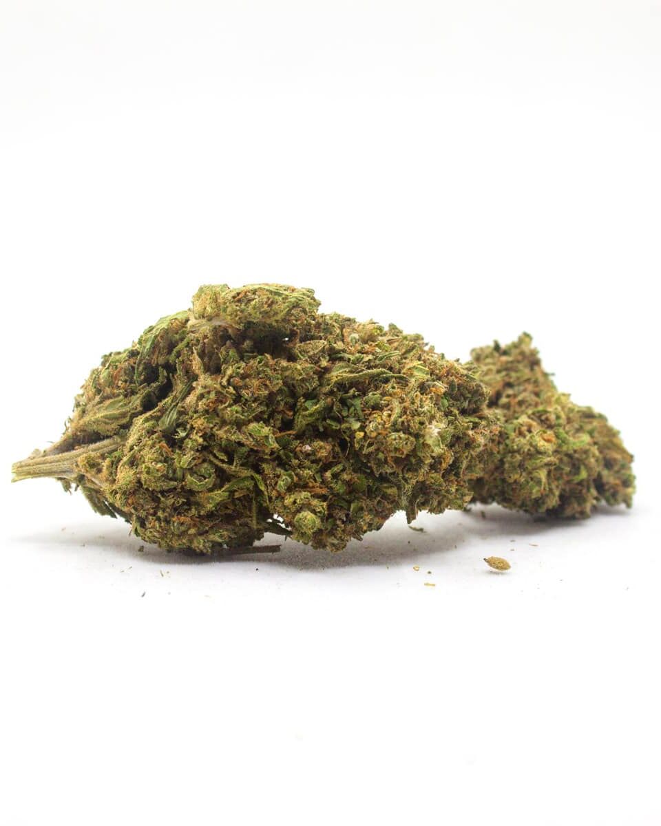 Amnesia fleurs CBD - Great and Green CBD Shop