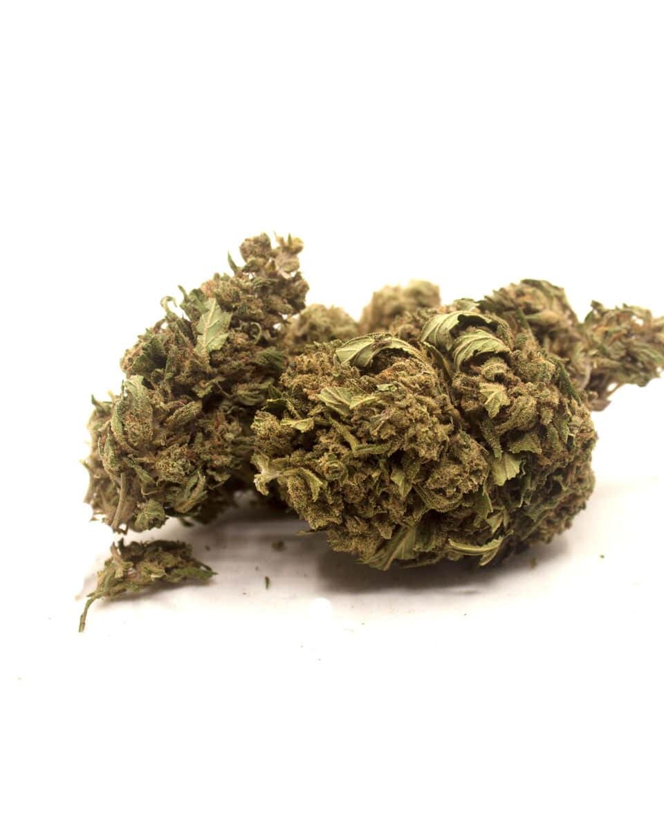 tangie - Great and Green - CBD Shop