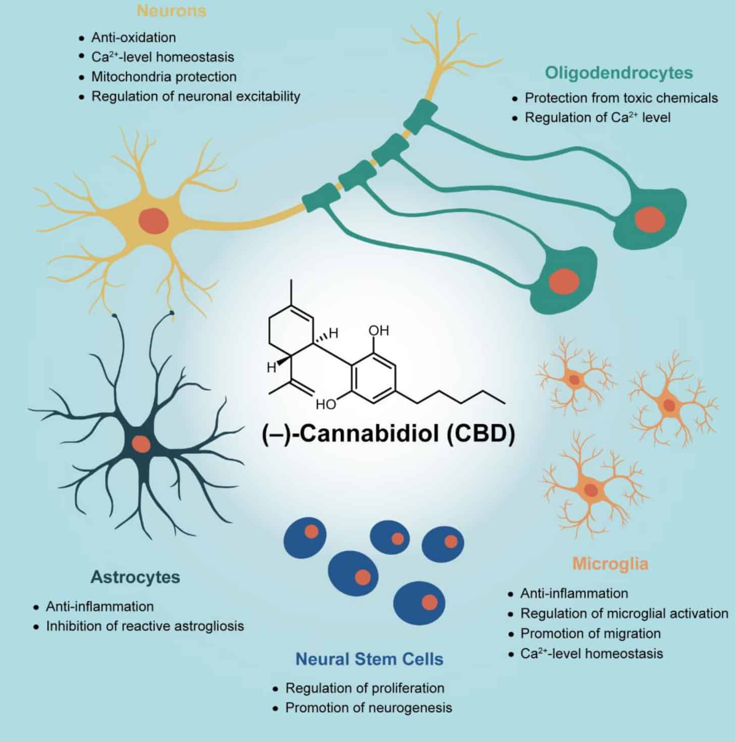 le cbd anti-inflammatoire